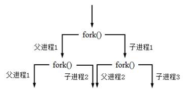 fork()函數創(chuàng)建進程